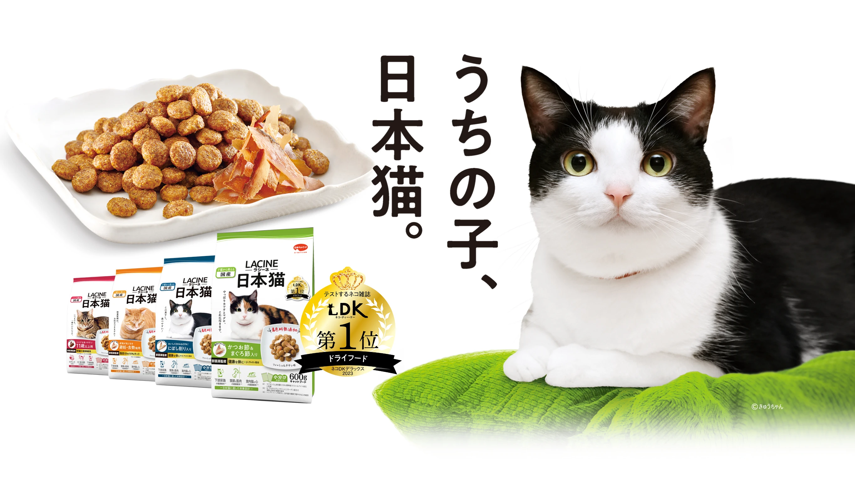 日本猫のための国産キャットフード【LACINE（ラシーネ）日本猫】
